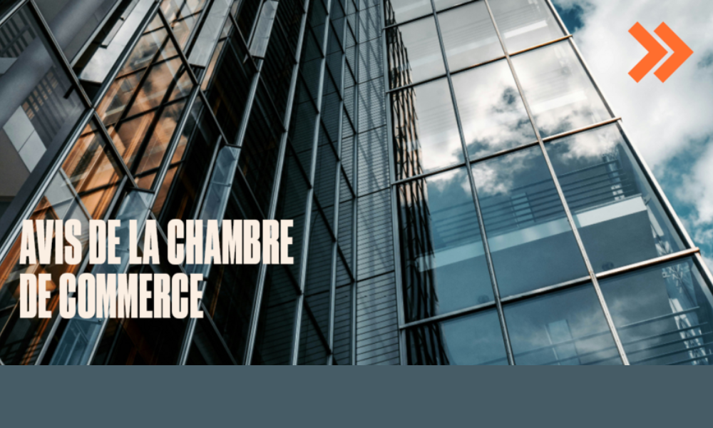 Chèque-service accueil : la Chambre de Commerce soutient sa modernisation, tout en appelant à des clarifications