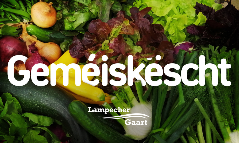 Panier de légumes de saison du Lampecher Gaart