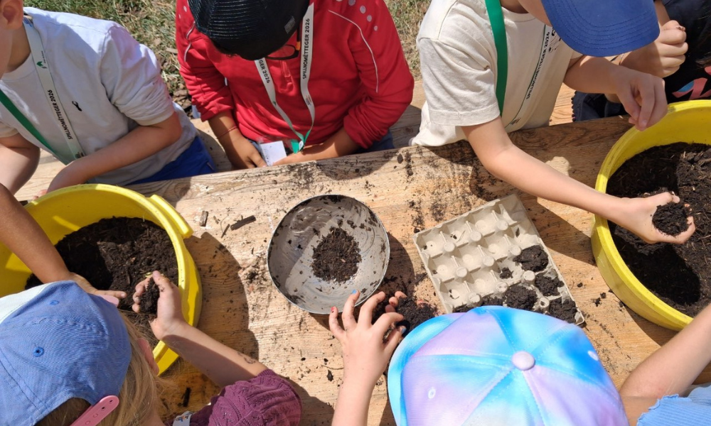 Quand les enfants deviennent experts des aires de jeux