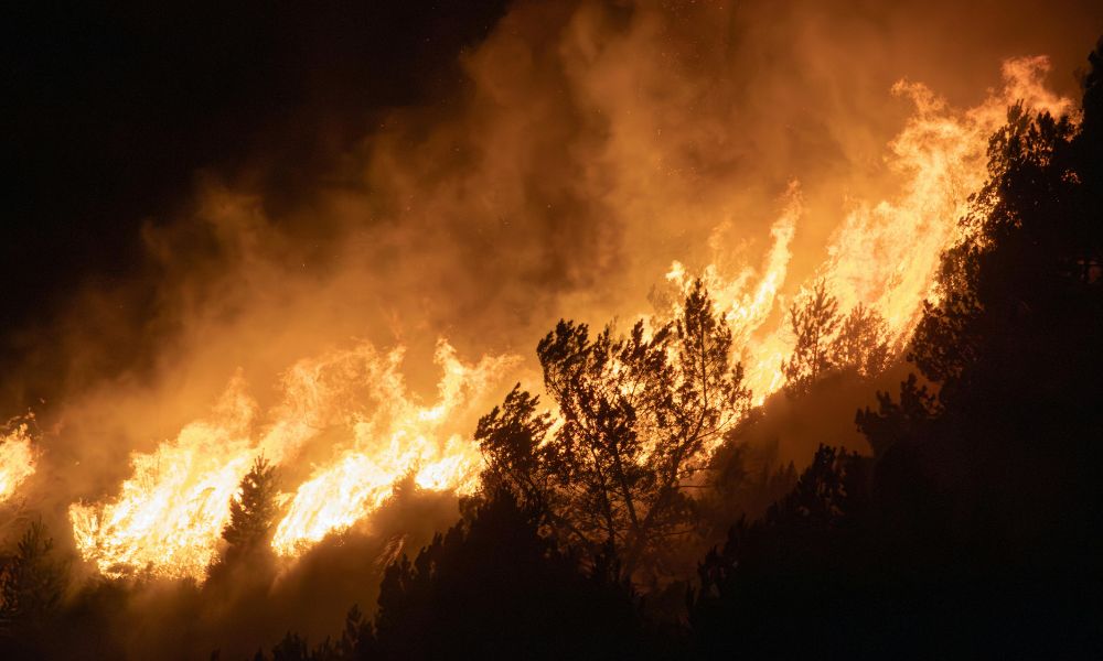 Incendie dans les Hautes Fagnes en Belgique : les autorités luxembourgeoises suivent la situation et formulent des recommandations à la population