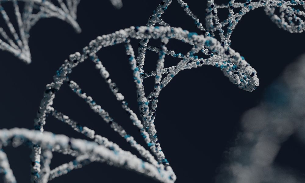 Les maladies mentales sont-elles génétiques ?